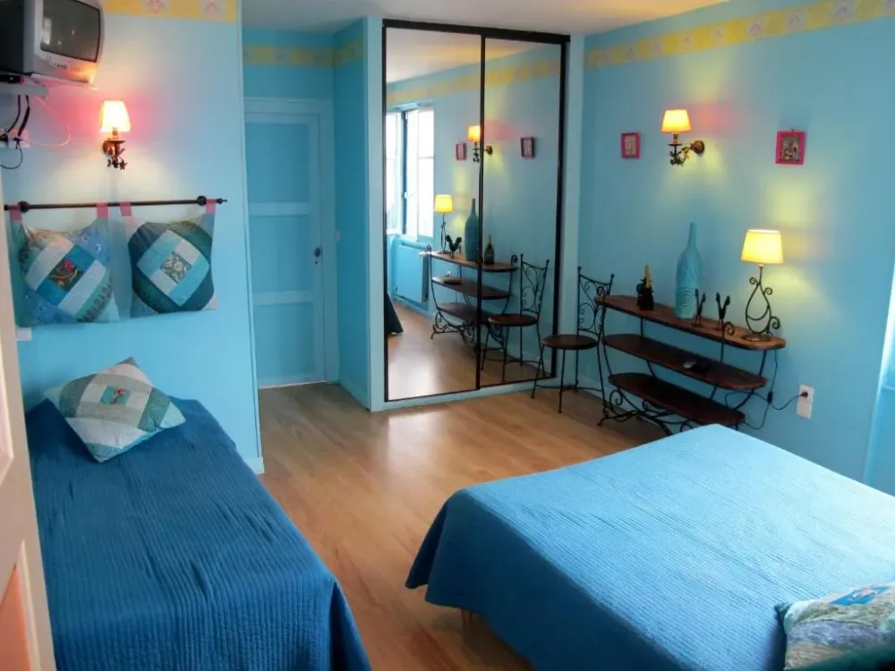 chambre-vue-foret-sologne